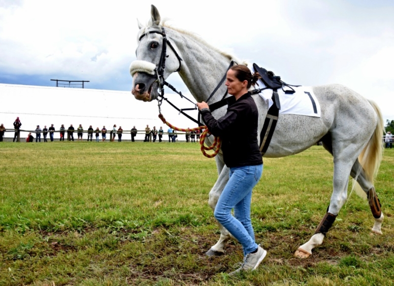 Foto: Miroslav Škoda