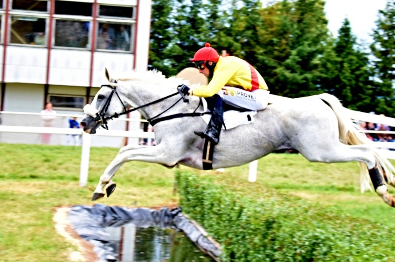 Foto: Miroslav Škoda