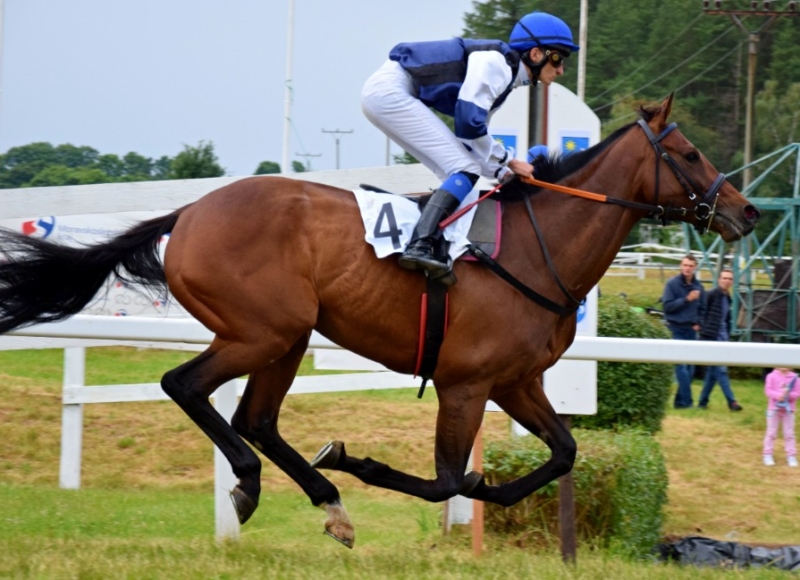 Foto: Miroslav Škoda