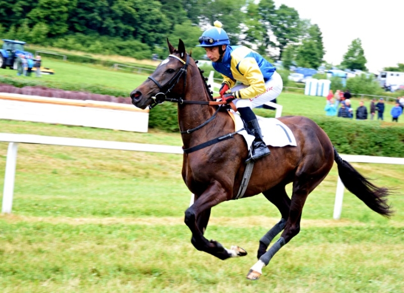 Foto: Miroslav Škoda