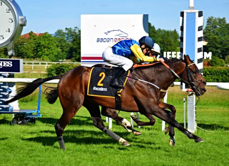 Foto: Miroslav Škoda