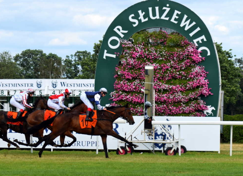 Foto: Miroslav Škoda