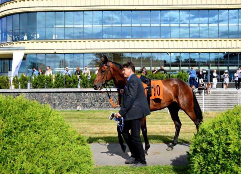 Foto: Miroslav Škoda