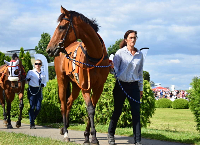 Foto: Miroslav Škoda