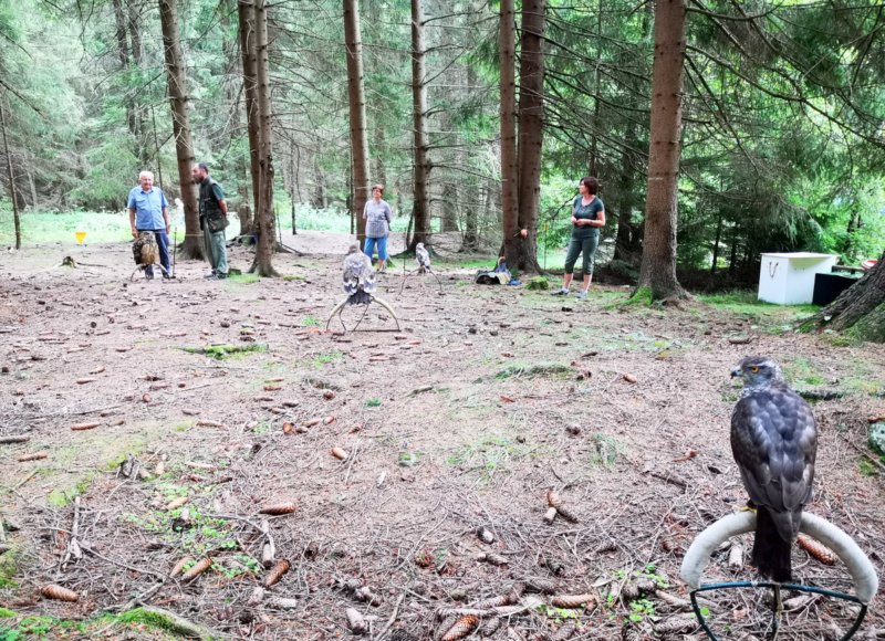 Foto: Radek Vráblík