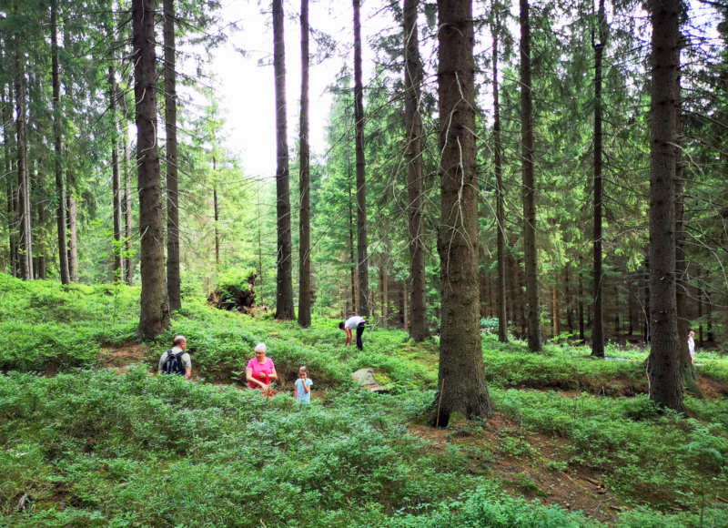 Foto: Radek Vráblík