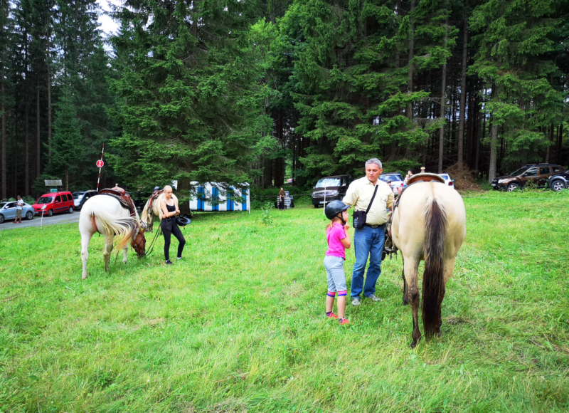 Foto: Radek Vráblík