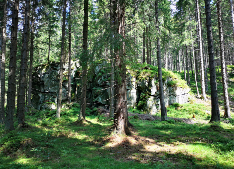 Foto: Radek Vráblík