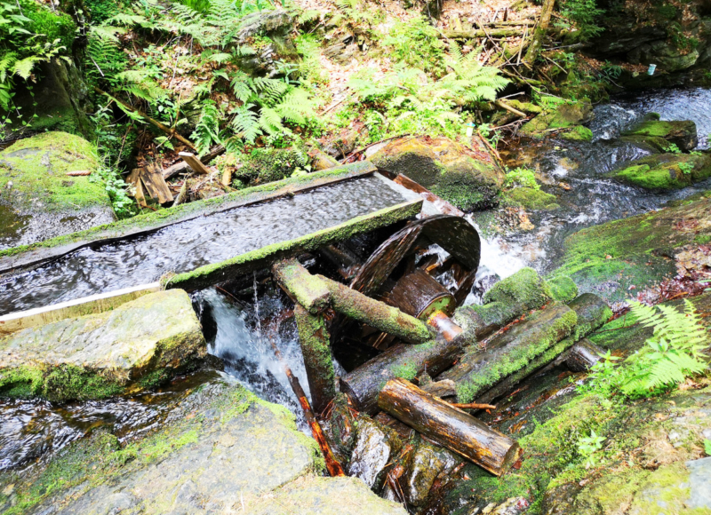 Foto: Radek Vráblík