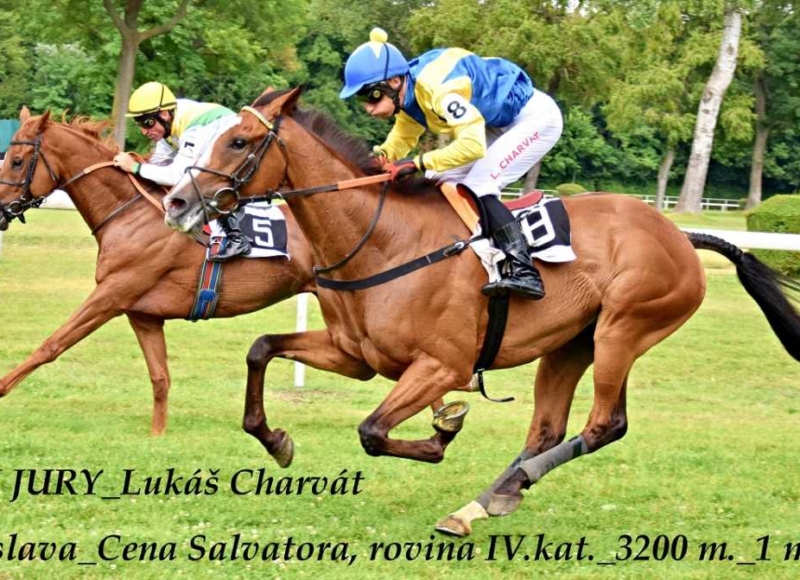 Foto: Miroslav Škoda