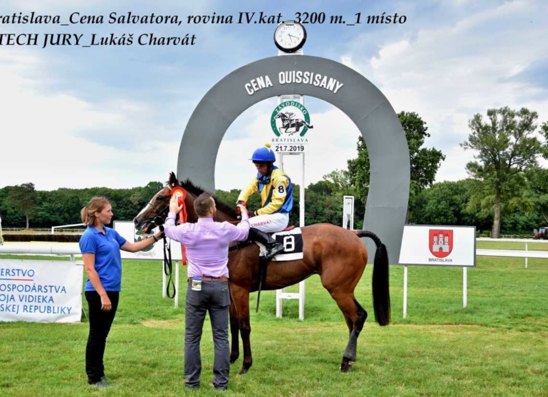 Foto: Miroslav Škoda