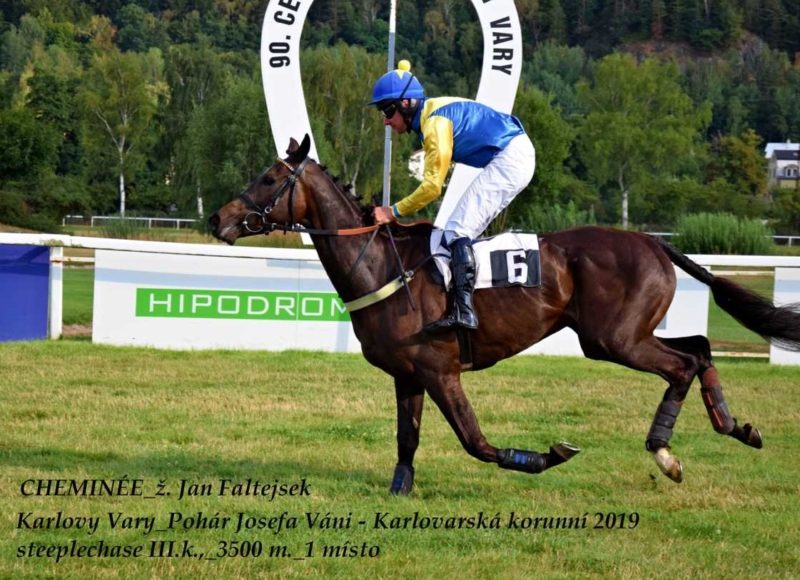 Foto: Miroslav Škoda