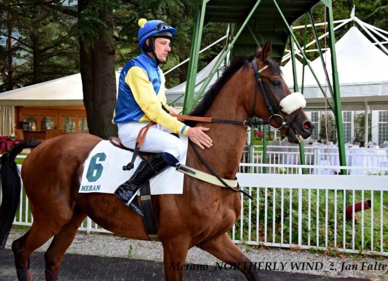 Foto: Miroslav Škoda