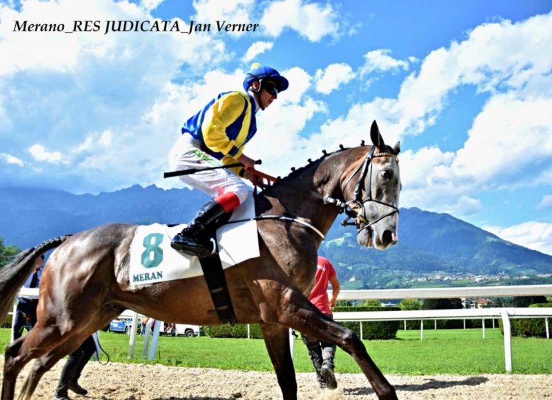 Foto: Miroslav Škoda