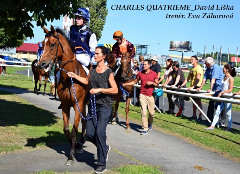 Foto: Miroslav Škoda