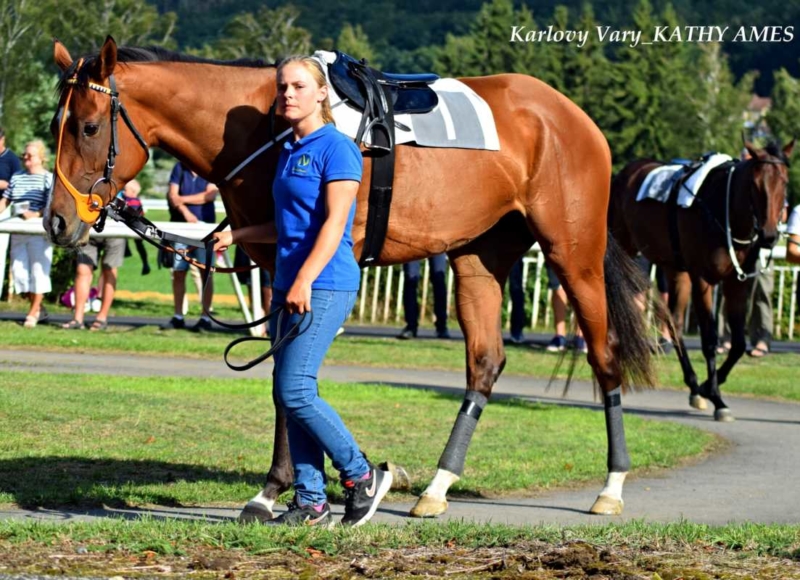Foto: Miroslav Škoda
