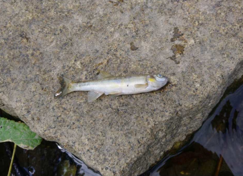 Foto: čtenářka Nikola