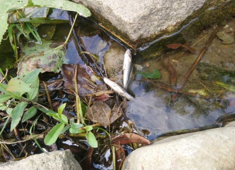 Foto: čtenářka Nikola