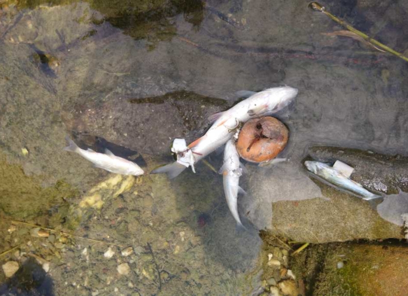 Foto: čtenářka Nikola