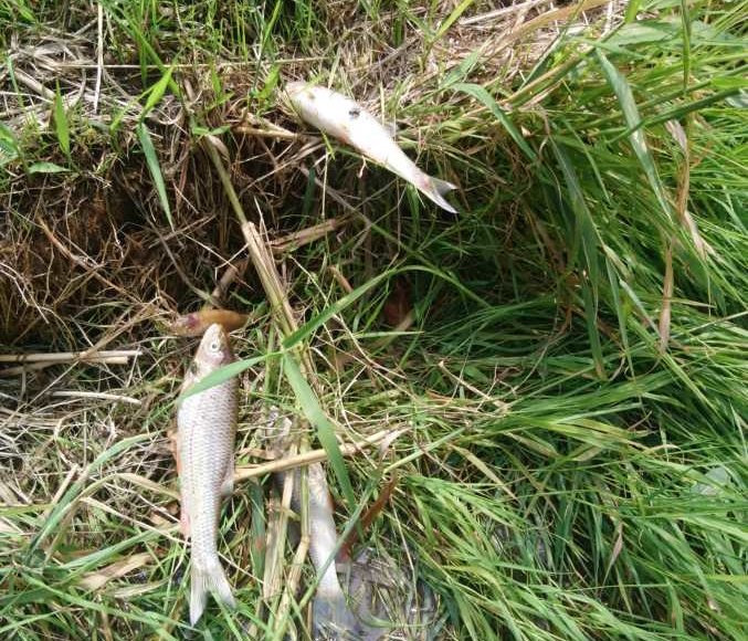 Foto: čtenářka Nikola