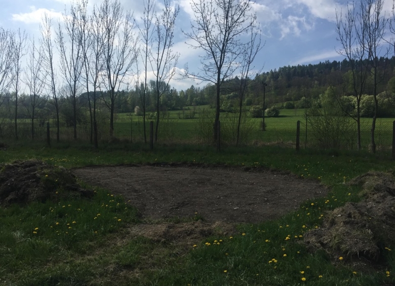 Foto: ZŠ Holčovice