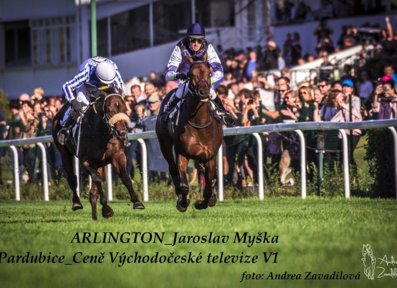 Foto: Miroslav Škoda