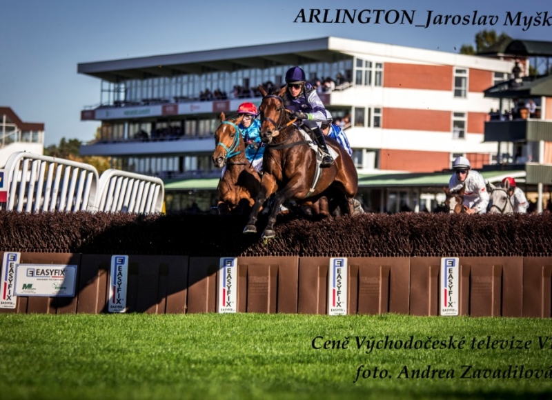 Foto: Miroslav Škoda