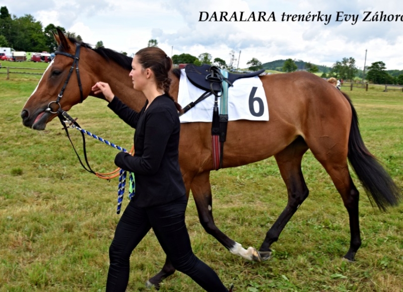 Foto: Miroslav Škoda