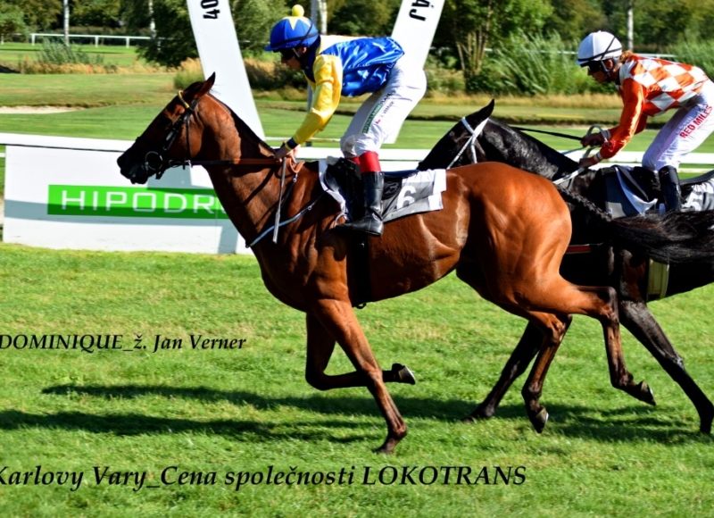 Foto: Miroslav Škoda