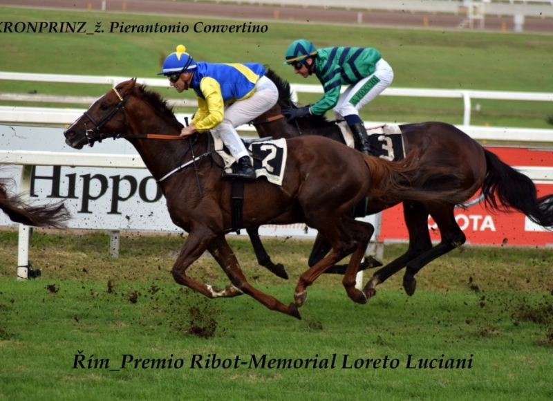 Foto: Miroslav Škoda