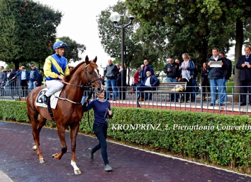 Foto: Miroslav Škoda