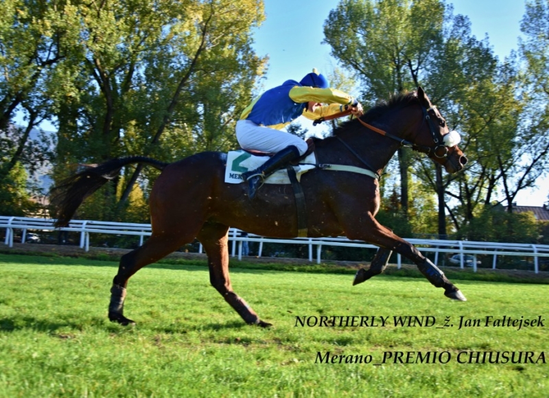 Foto: Miroslav Škoda