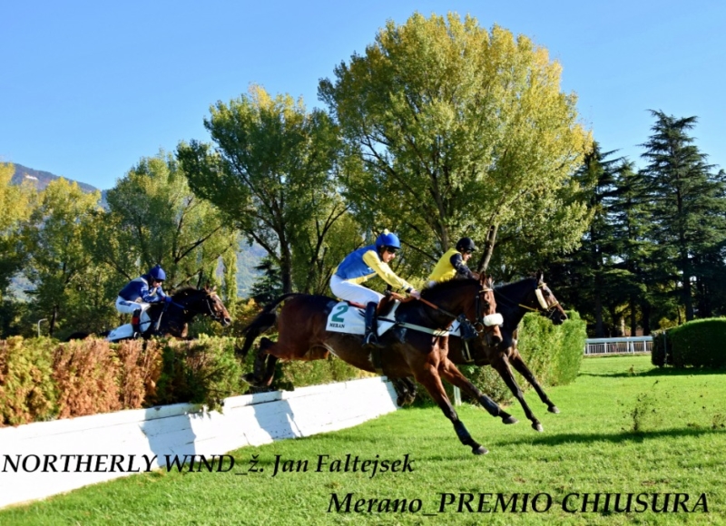 Foto: Miroslav Škoda