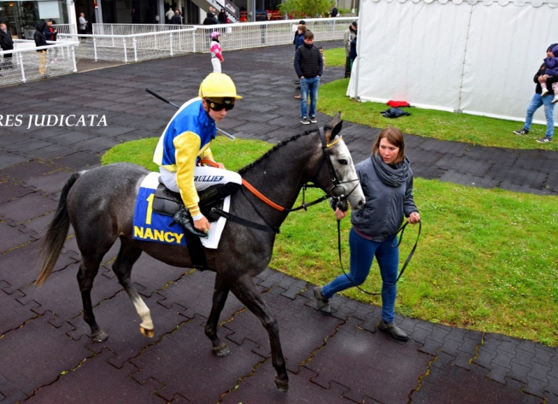 Foto: Miroslav Škoda