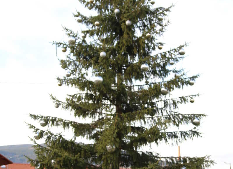 Foto: Nikola Chalupová