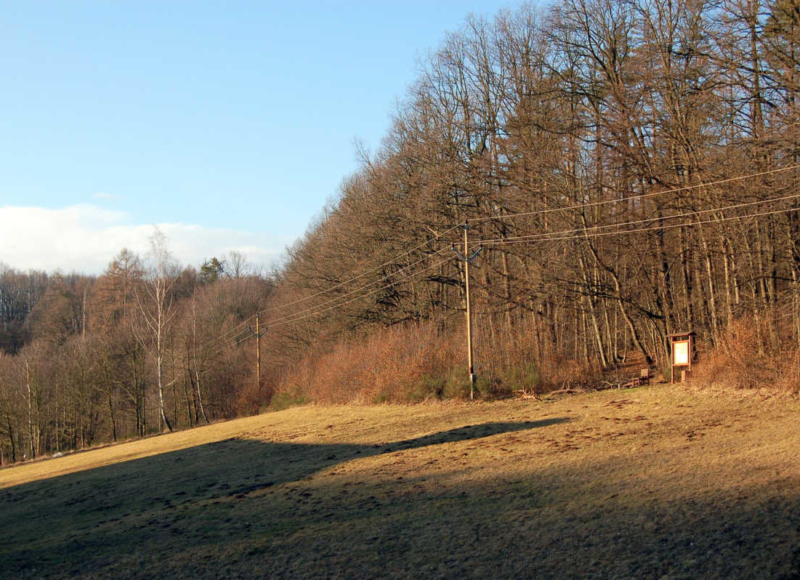 Foto: Zdeňka Spurná