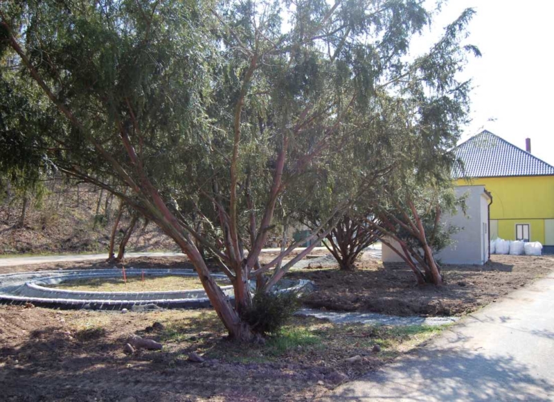 Foto: Zdenka Spurná