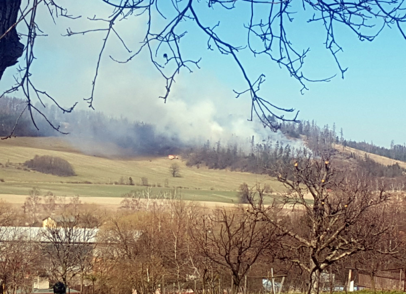 Foto: Vladimíra Krušinová Miková