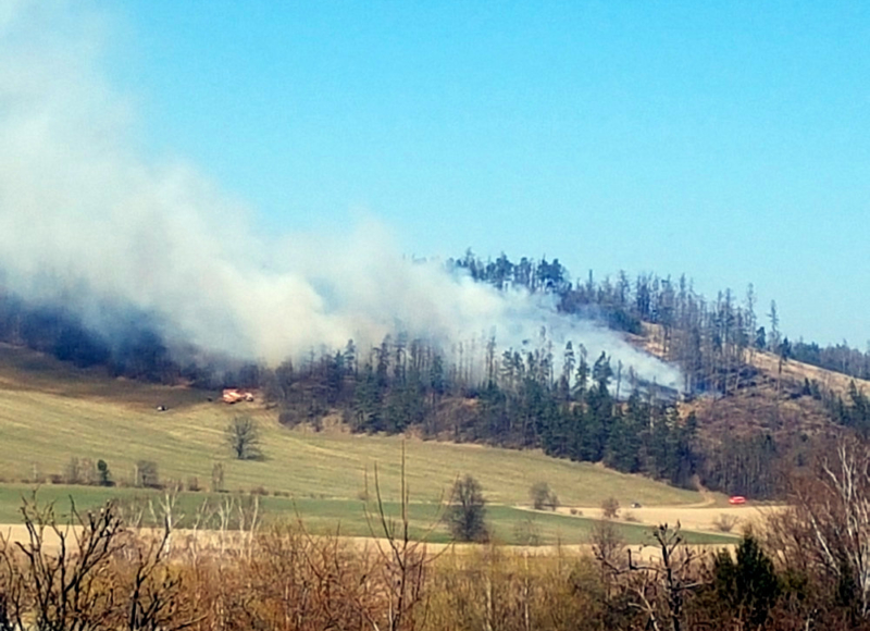 Foto: Vladimíra Krušinová Miková