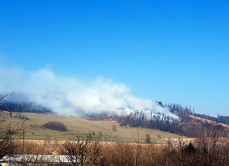 Foto: Vladimíra Krušinová Miková