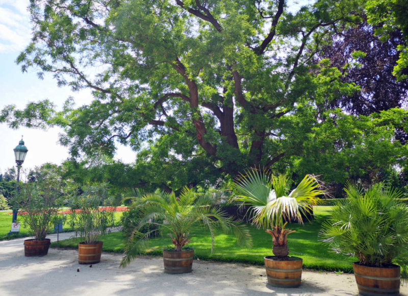 Foto: Radek Vráblík