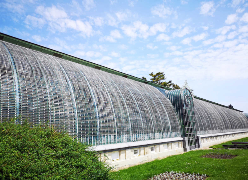 Foto: Radek Vráblík