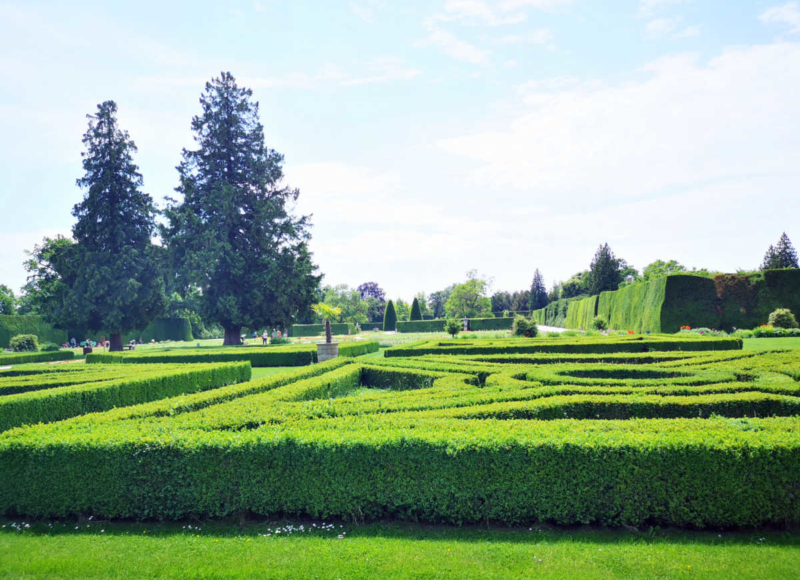 Foto: Radek Vráblík