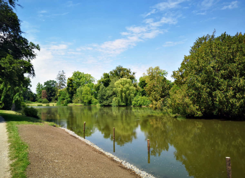 Foto: Radek Vráblík