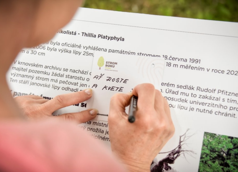 Foto: Nadace Partnerství, Marek Olbrzymek