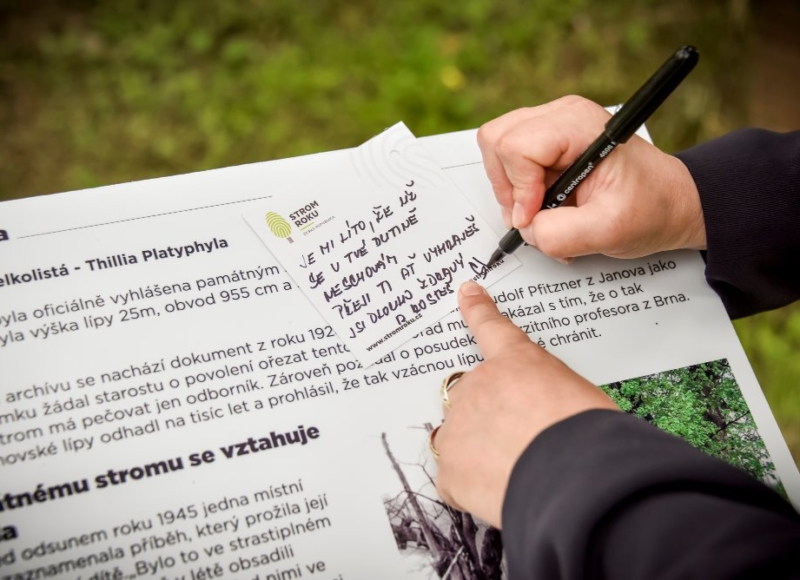 Foto: Nadace Partnerství, Marek Olbrzymek