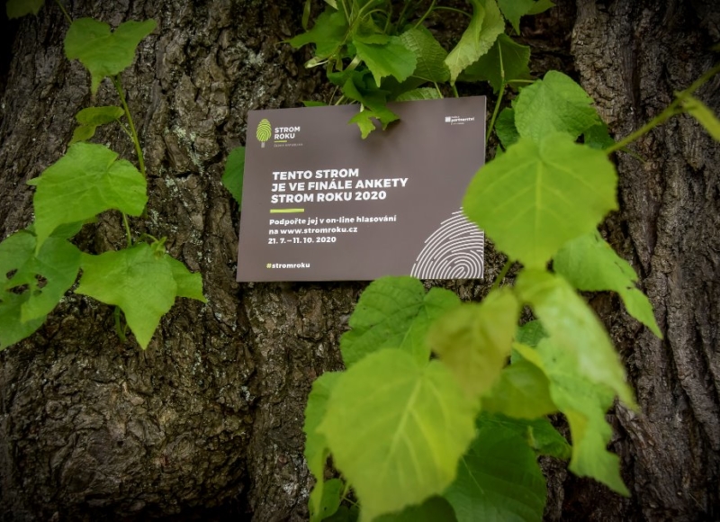 Foto: Nadace Partnerství, Marek Olbrzymek