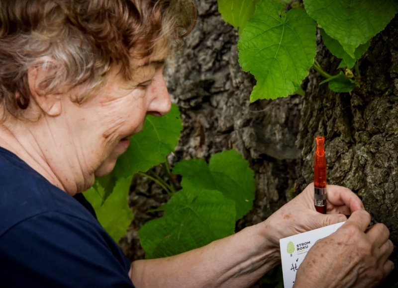 Foto: Nadace Partnerství, Marek Olbrzymek