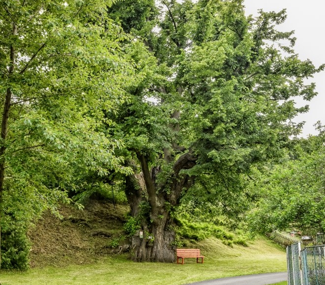 Foto: Nadace Partnerství, Marek Olbrzymek