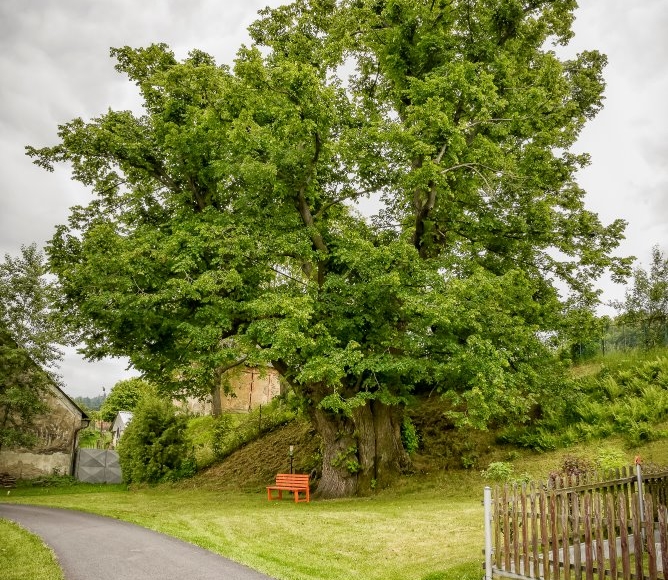 Foto: Nadace Partnerství, Marek Olbrzymek
